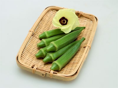 カネコ種苗 オクラ種子 ジョニー【取り寄せ注文】【2026年春種予約商品】