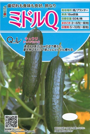 トキタ種苗 キュウリ種子 ミドルQ【取り寄せ注文】【2026年春種予約商品】