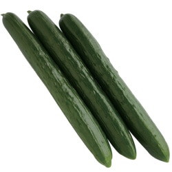 トキタ種苗 キュウリ種子 つやみどり【取り寄せ注文】