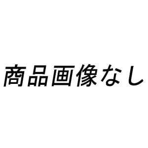トキタ種苗 キュウリ種子 彩みどり　
