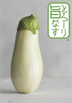 トキタ種苗 ナス種子 とろーり旨なす【取り寄せ注文】＊種子有効期限