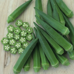 トキタ種苗 オクラ種子 グリーンジュエリー【取り寄せ注文】＊種子有効期限2026年10月末