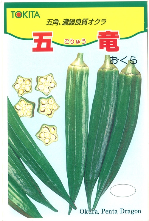 トキタ種苗 オクラ種子 五竜【取り寄せ注文】