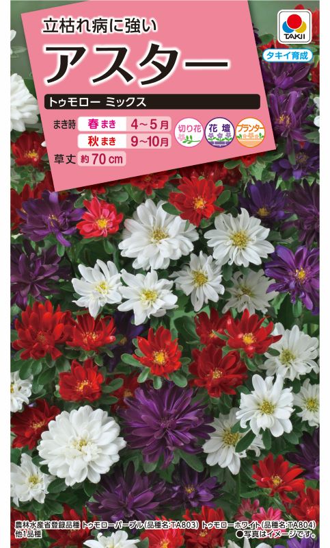 タキイ NL300 アスター トゥモローミックス 小袋 [FAS390] 【取り寄せ注文】※春のみ商品【2026年春種予約商品】