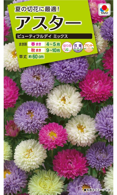 タキイ NL200 アスター ビューティフルデイミックス 小袋[FAS866]【取り寄せ注文】※春のみ商品【2026年春種予約商品】