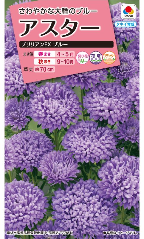 タキイ NL300 アスター ブリリアンEXブルー 小袋 [FAS593]【取り寄せ注文】※春のみ商品【2026年春種予約商品】 
