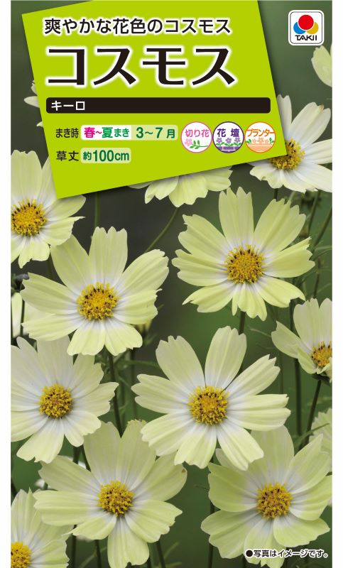 タキイ NL200 コスモス キーロ 小袋[FCSA03]【取り寄せ注文】※春のみ商品【2026年春種予約商品】