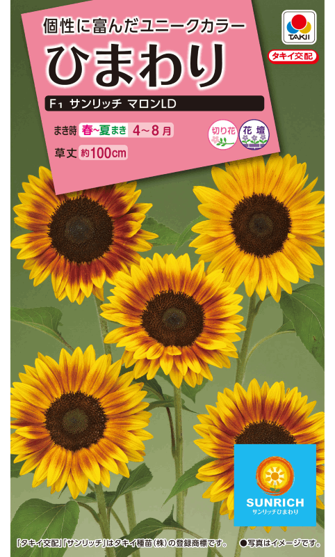 タキイ NL300 ひまわり　F1サンリッチマロンLD　小袋[FHM464]【取り寄せ注文】※春のみ商品【2026年春種予約商品】