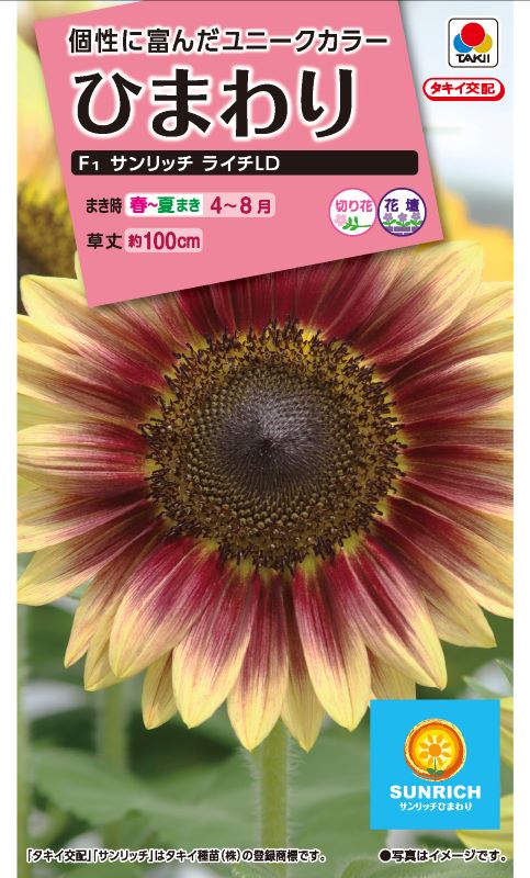 タキイ NL300 ひまわり F1サンリッチライチLD　小袋[FHM461]【取り寄せ注文】※春のみ商品【2026年春種予約商品】