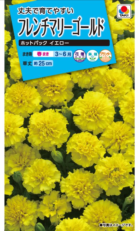 タキイ NL150 フレンチマリーゴールド ホットパックイエロー 小袋[FKJ263]【取り寄せ注文】※春のみ商品【2026年春種予約商品】