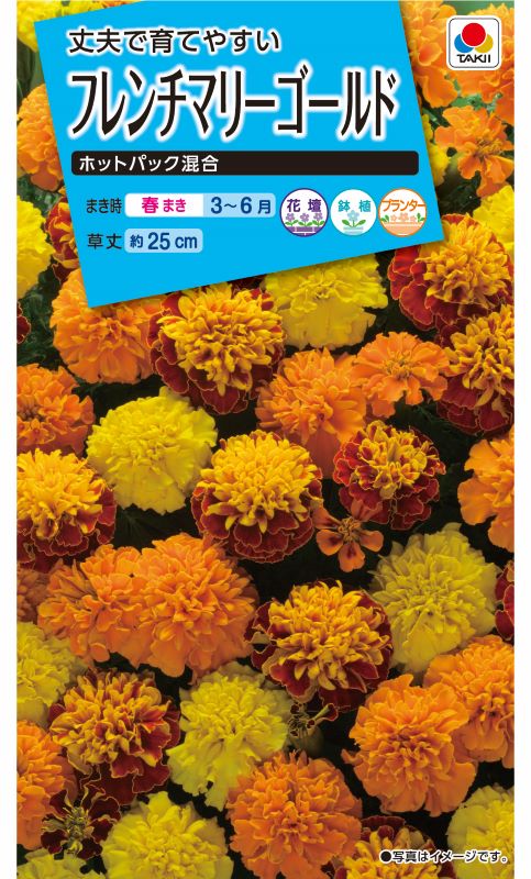 タキイ種苗 NL150 フレンチマリーゴールド ホットパック混合 小袋[FKJ269]【取り寄せ注文】※春のみ商品【2026年春種予約商品】