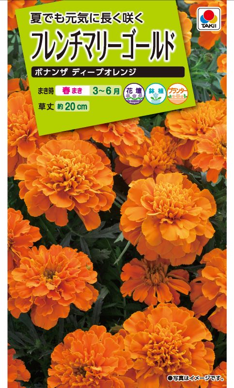 タキイ NL200 フレンチマリーゴールド ボナンザディープオレンジ 小袋[FKJ259]【取り寄せ注文】※春のみ商品【2026年春種予約商品】