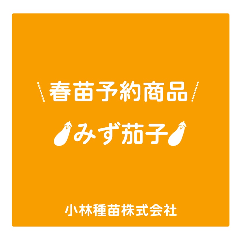 春野菜苗　ナス(実生)　水茄子　9.0cmポット×40本【2026年春苗予約】※4月上旬～5月下旬出荷予定