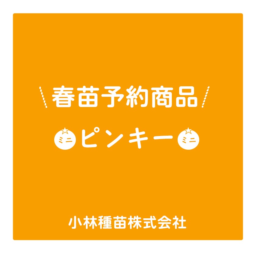 苗ご予約(⁎˃ᴗ˂⁎)⋈。ありがとうございます。 野菜苗 | 小林種苗公式通販