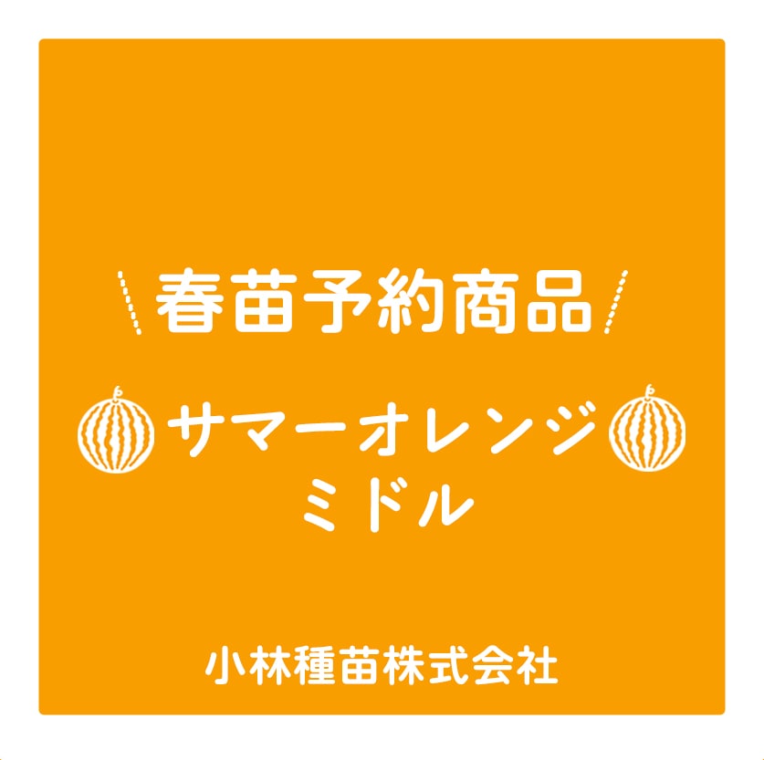 野菜苗 | 小林種苗公式通販