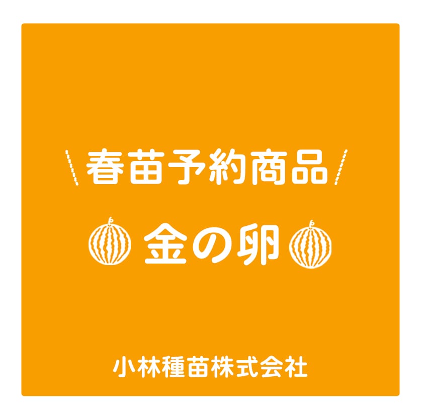 野菜苗 | 小林種苗公式通販