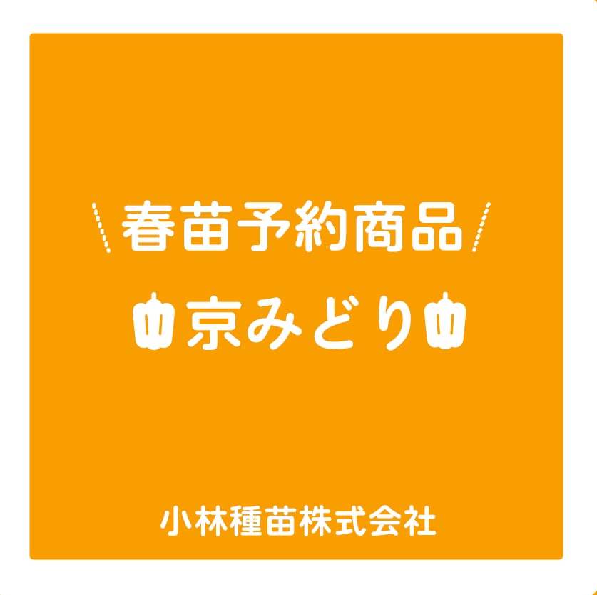 野菜苗 | 小林種苗公式通販