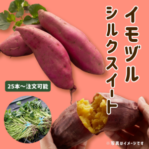 <{$recommend_item.list[i].name}>