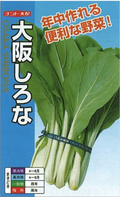 ナント種苗 大阪しろな【取り寄せ注文】※低発芽の為20％増量対応商品　＊種子有効期限2026年5月末