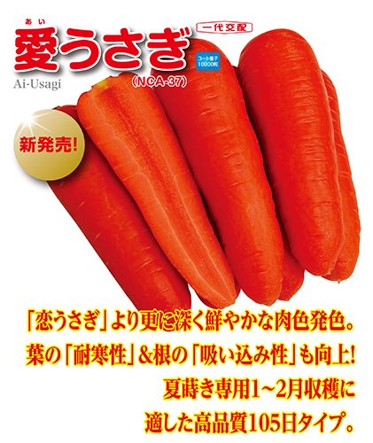 ナント種苗 ニンジン種子 愛うさぎ コート1万粒【取り寄せ注文】＊種子有効期限2026年3月末