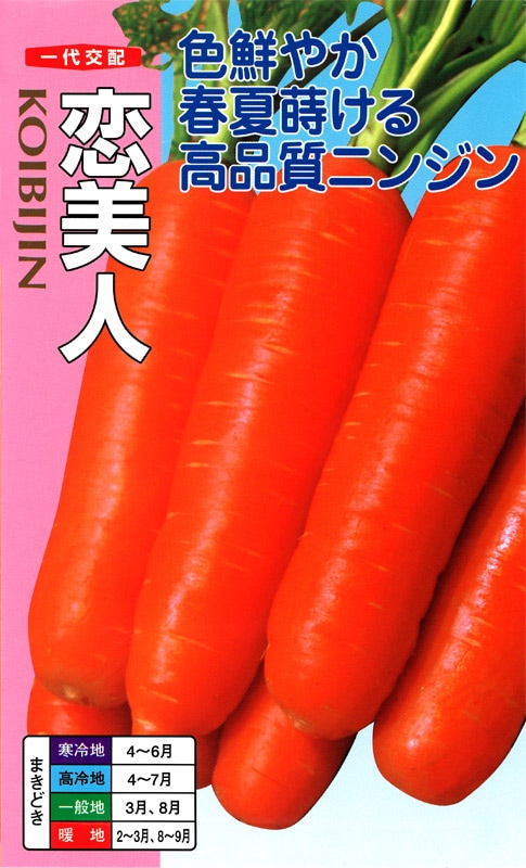 ナント種苗　ニンジン種子　恋美人【取り寄せ注文】＊種子有効期限2025年9月末