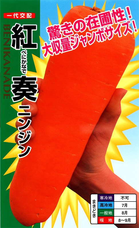 ナント種苗 ニンジン種子 紅奏【取り寄せ注文】＊種子有効期限2025年9月末