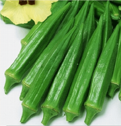 ヴィルモランみかど オクラ種子 ブルースカイZ【取り寄せ注文】＊種子有効期限2026年4月末