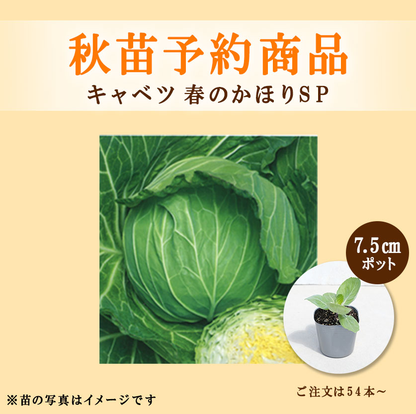 接木苗予約受付中　❗️‼️ 農業屋.com