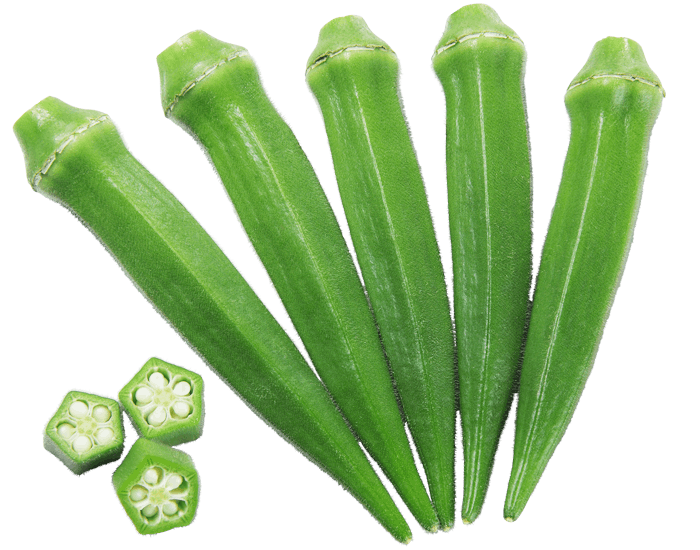 大和農園　オクラ種子　大和グリーン【取り寄せ注文】【2026年春種予約商品】