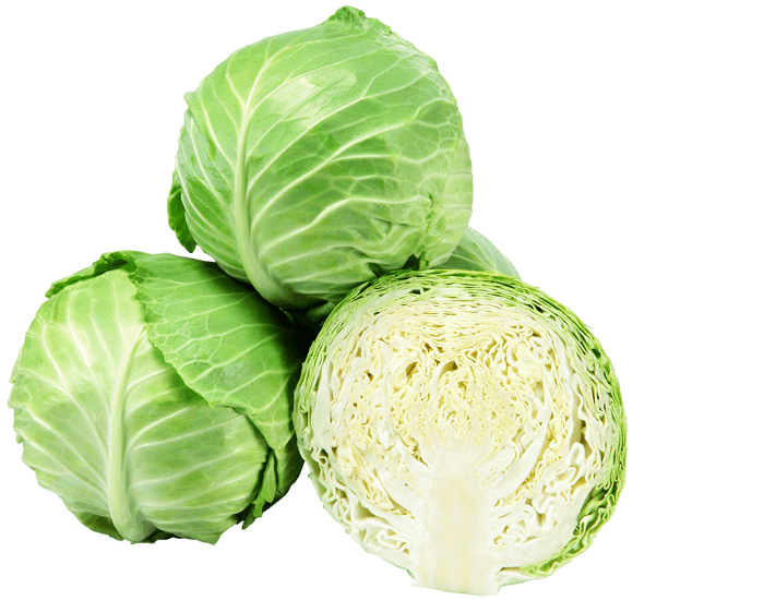 大和農園 キャベツ種子 ハイボール【取り寄せ注文】＊種子有効期限2026年11月末