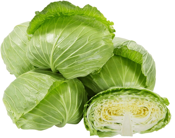 大和農園　キャベツ種子　金力【取り寄せ注文】