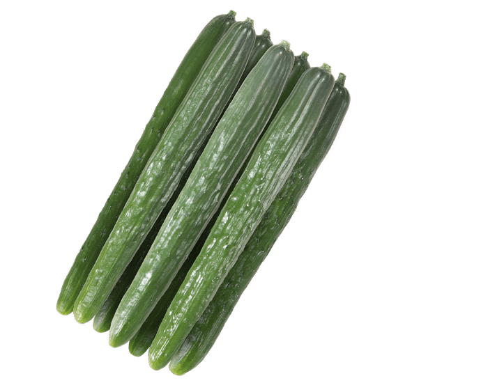 大和農園　キュウリ種子　ロジグリーン【取り寄せ注文】