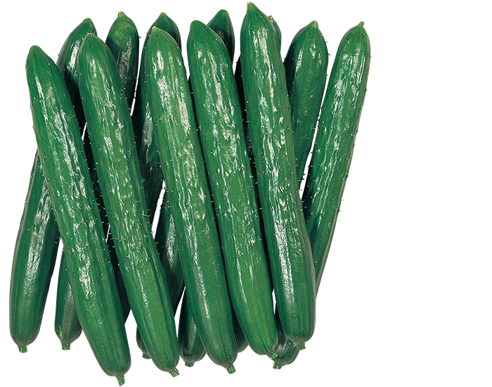 大和農園 キュウリ種子 好男子【取り寄せ注文】【2026年春種予約商品】