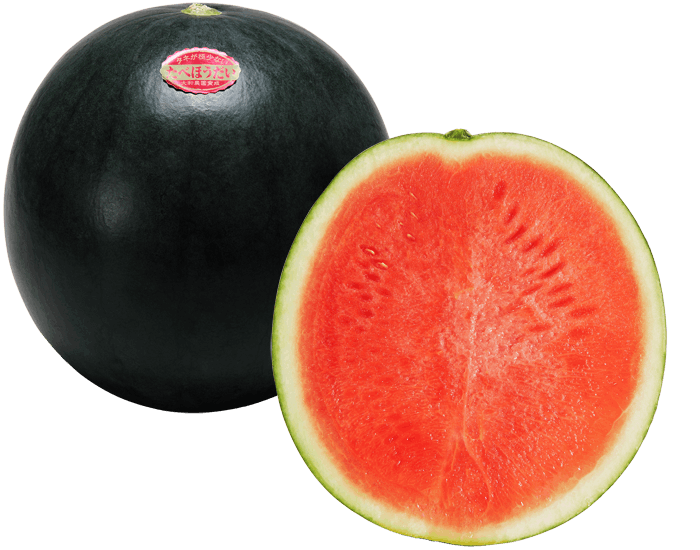 大和農園 スイカ種子 3Xたべほうだい黒王子【取り寄せ注文】＊種子有効期限2026年11月末