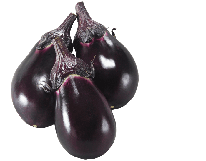 大和農園 ナス種子 しずる【取り寄せ注文】【2026年春種予約商品】