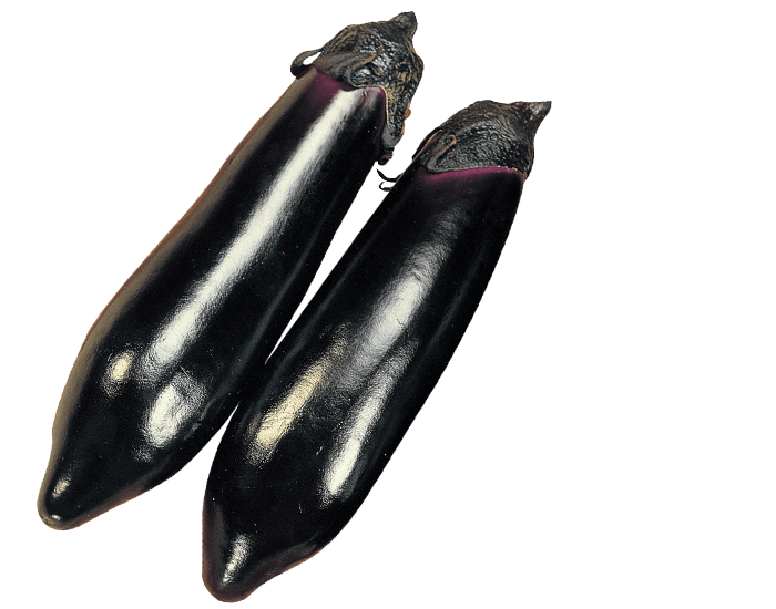 大和農園　ナス種子　黒寿中長【取り寄せ注文】【2026年春種予約商品】