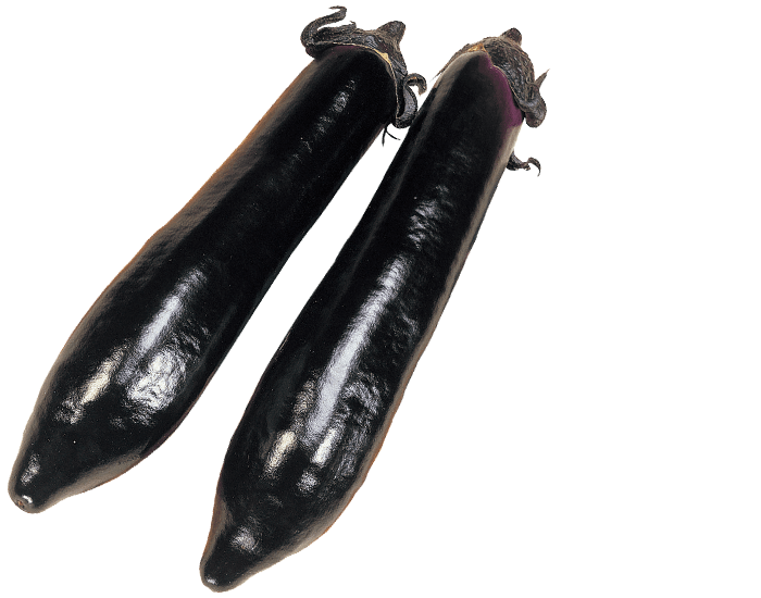 大和農園　ナス種子　黒寿長【取り寄せ注文】【2026年春種予約商品】