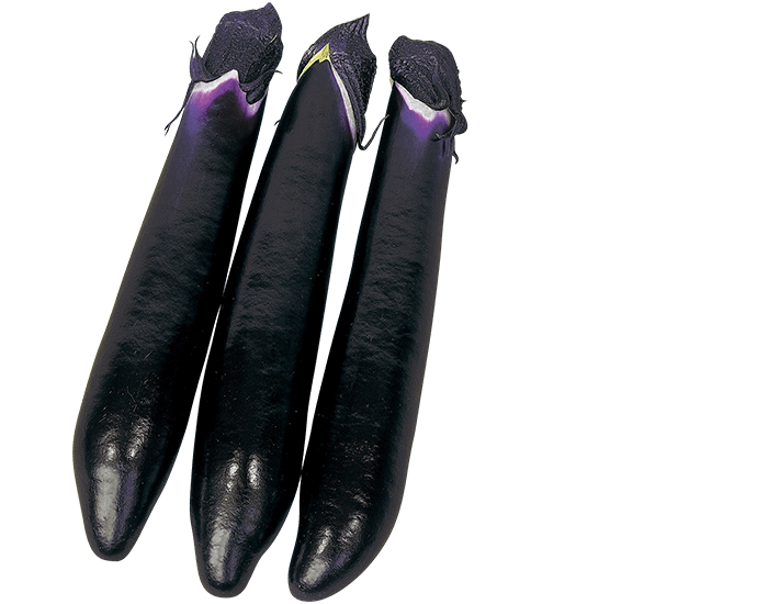 大和農園　ナス種子　黒寿本長【取り寄せ注文】【2026年春種予約商品】