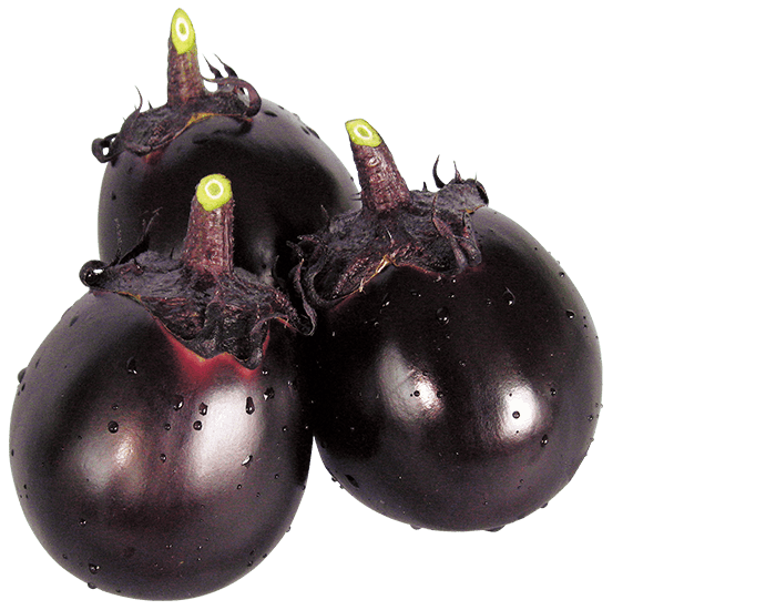 大和農園 ナス種子 紫月【取り寄せ注文】【2026年春種予約商品】