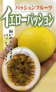 フタバ種苗 特用作物 イエローパッション【取り寄せ注文】【2026年春種予約商品】