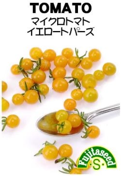 藤田種子　トマト種子　マイクロトマト　イエロートパーズ　30粒［T-32］【取り寄せ注文】【2024品切れ】