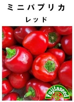 藤田種子　ピーマン種子　ミニパプリカ　レッド　15粒[P-15]【取り寄せ注文】【2024品切れ】
