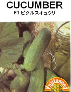 藤田種子　キュウリ種子　F1ピクルスキュウリ　小袋(15粒)[K-14]【取り寄せ注文】