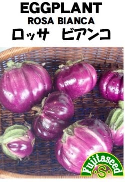 藤田種子　ナス種子　ロッサビアンコ　小袋(20粒)[K-23]【取り寄せ注文】【2024品切れ】