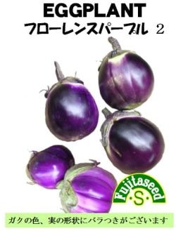 藤田種子　ナス種子　フローレンスパープル2　小袋(20粒)[K-73]【取り寄せ注文】