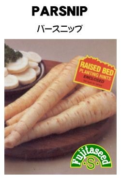 藤田種子　ニンジン種子　パースニップ　小袋(5ml)[R-23]【取り寄せ注文】【2024品切れ】