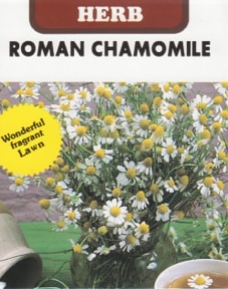 藤田種子 ハーブ種子 ローマンカモミール 小袋(0.2ml)[H-8]【取り寄せ注文】＊種子有効期限2025年11月末
