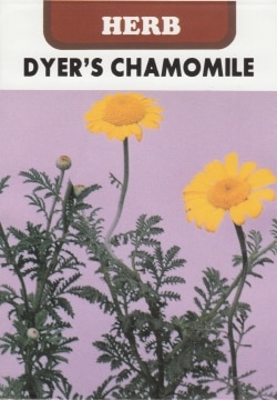 藤田種子 ハーブ種子 ダイヤーズカモミール 小袋(0.3ml)[H-9]【取り寄せ注文】