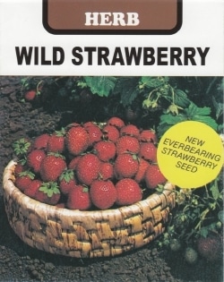 藤田種子　ハーブ種子　ワイルドストロベリー　小袋(0.1ml)[H-111]【取り寄せ注文】※品切れ(25/5)