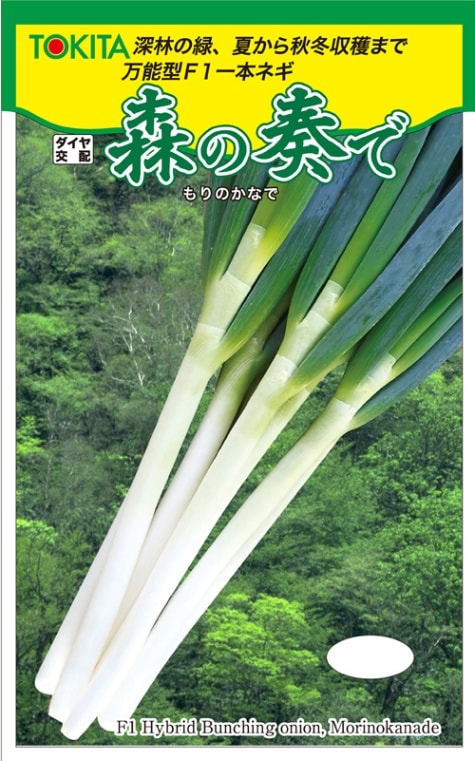 トキタ種苗　ネギ種子　森の奏で【取り寄せ注文】*種子有効期限2025年10月末※コート5000粒